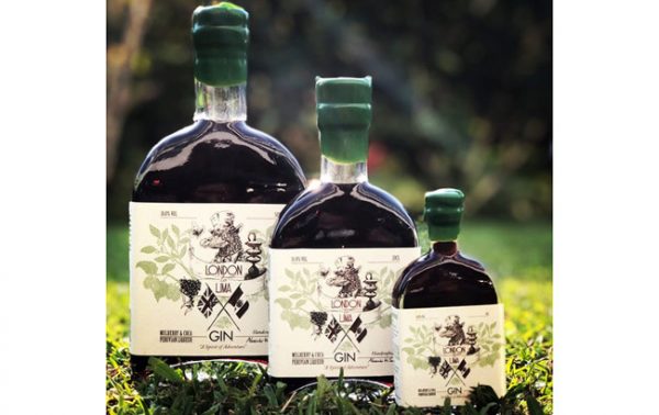 Coca-infused gin liqueur launches in UK