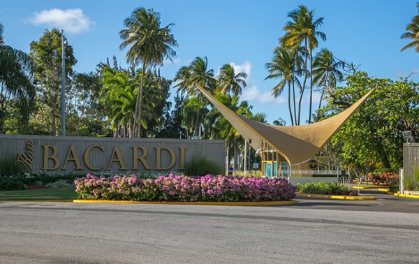 Bacardi shifts production to make hand sanitiser