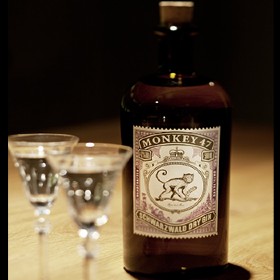 Monkey-47 gin