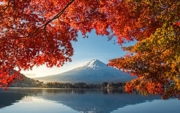 Lack of rules threatens Japanese whisky’s reputation