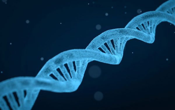 Scientists find genetic link to alcohol misuse