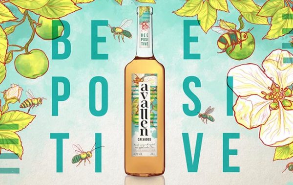 Avallen to launch £250,000 fundraising drive