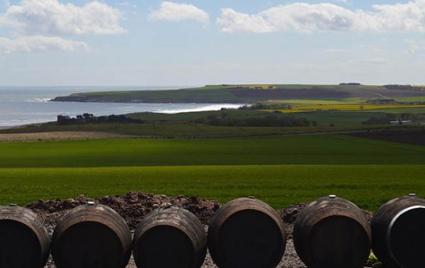 Arbikie: a brand history