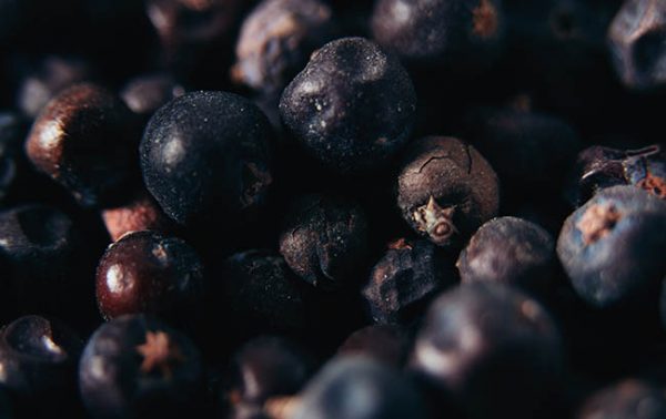 The Gin Masters 2020 results