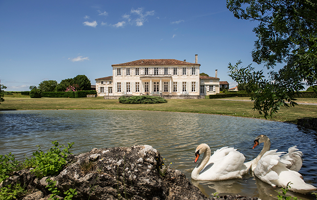 Swans’ way: Camus’ château