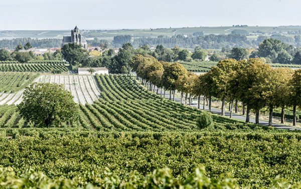 Cognac’s quest to communicate provenance