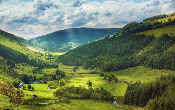 The impact of Covid-19 on Irish whiskey tourism