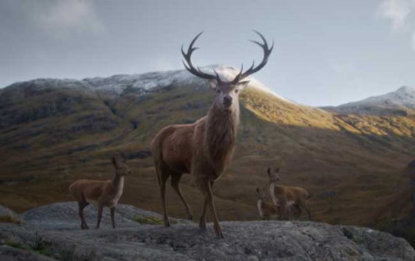 Glenfiddich debuts Where Next? campaign