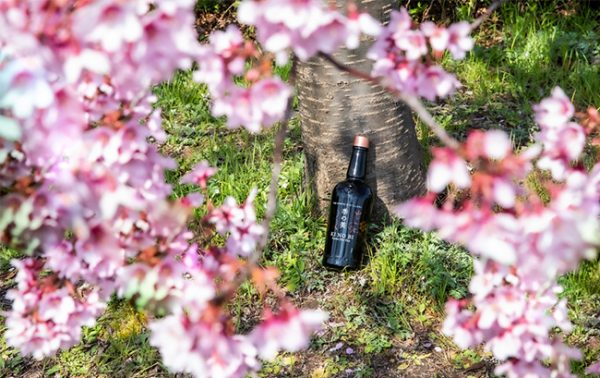 The big players investing in super-premium-plus gin