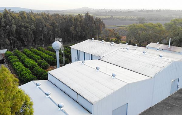 William Grant & Sons buys Tequila distillery