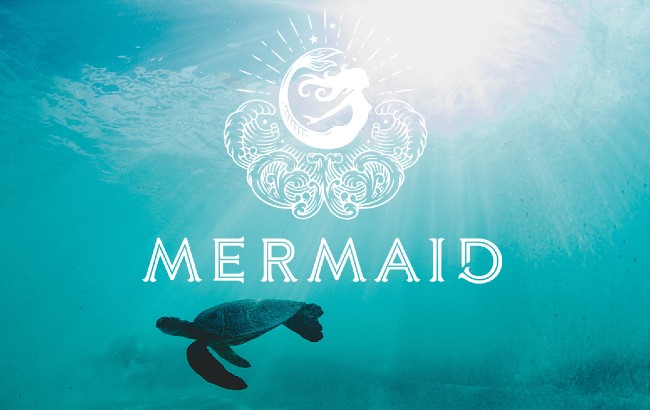 Mermaid Gin Net Zero