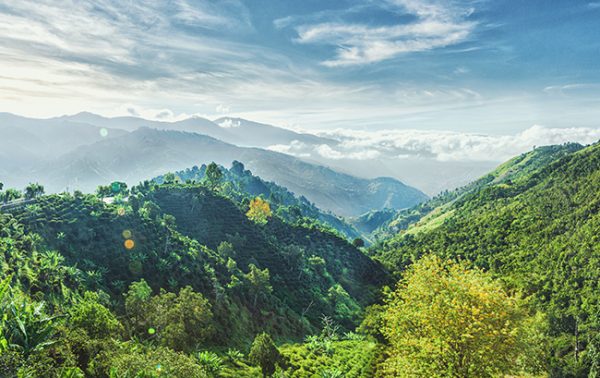 Rum brands to watch in 2021