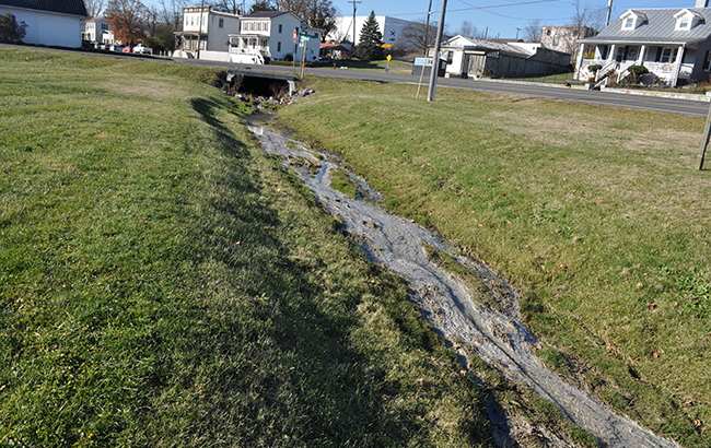 Filibuster Distillery dumped waste in a stream