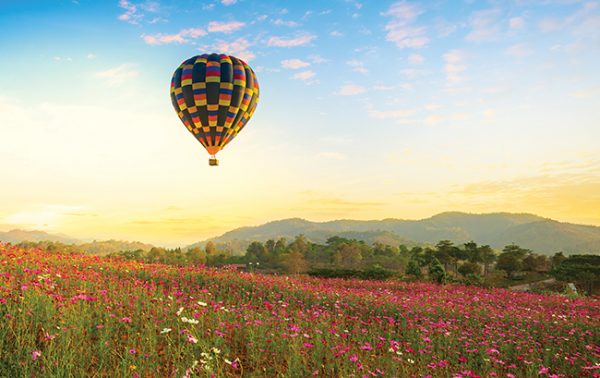 Can emerging categories crack the luxury market?