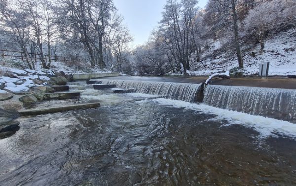 Diageo builds weir to aid biodiversity