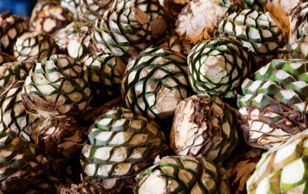 The Tequila & Mezcal Masters 2021 results