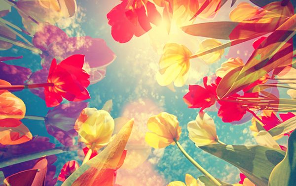 The DB & SB Spring Blind Tasting 2021 results