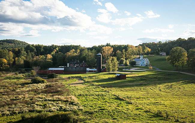 Whistlepig farm