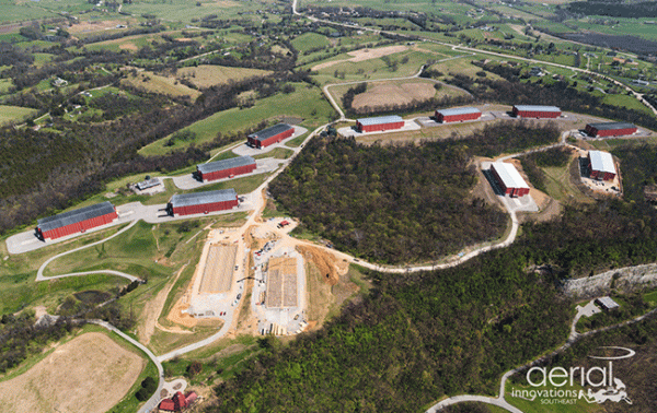 Data shows ‘consistency’ in new Buffalo Trace whiskey