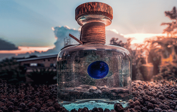 Procera Gin now available in Harvey Nichols