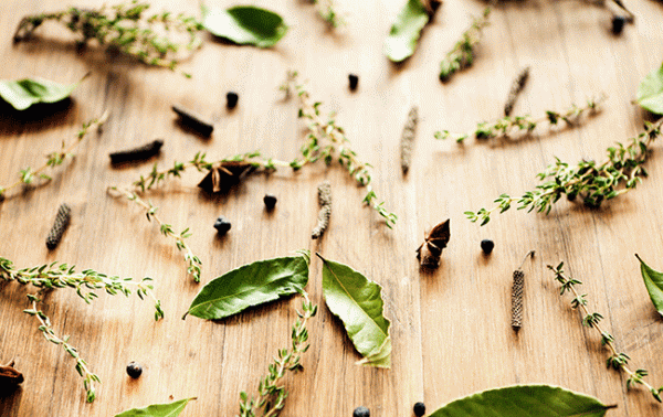 The Gin Masters 2021 – First Tasting results