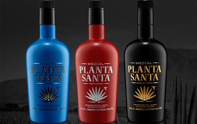 Planta Santa mezcal