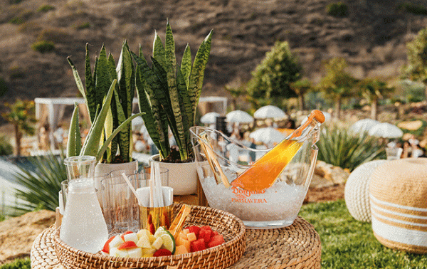 Don Julio debuts orange-infused Tequila