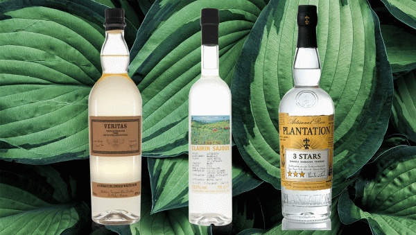 The best rums for a Daiquiri, according to bartenders