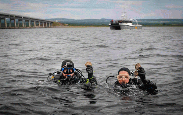 Glenmorangie restores 20,000 oysters to Dornoch Firth