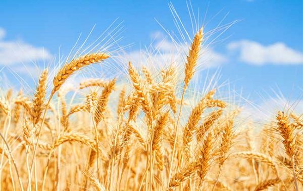 The Irish Whiskey Masters 2021 results