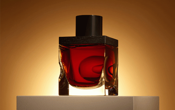 Gordon & MacPhail gives £80,000 to tree charity