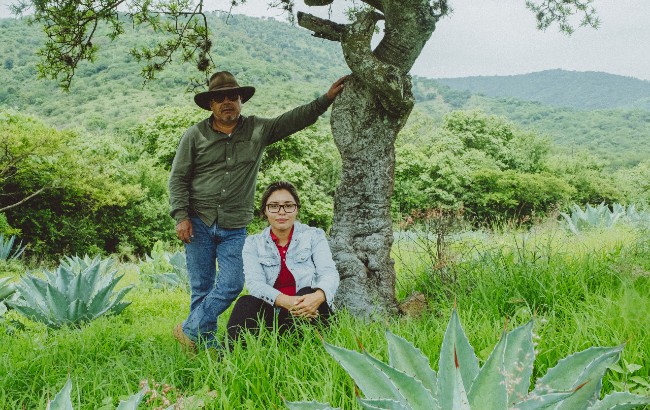 Maestro mezcalero Don Fortino