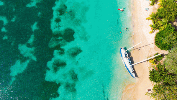 Caribbean rum and the fight to protect provenance