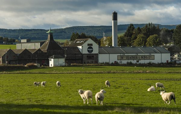 Suntory plans $4m peatland project