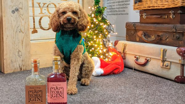 What’s on in November