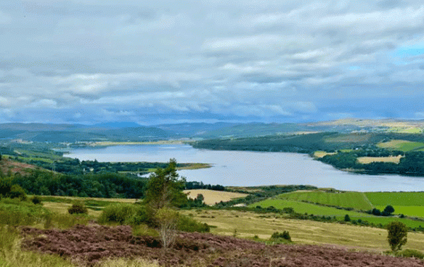 Plans to build distillery beside Dornoch Firth