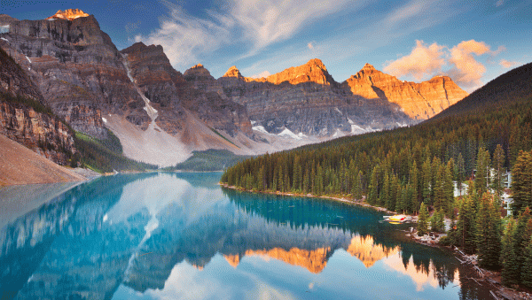 Global bar report 2021: the Americas