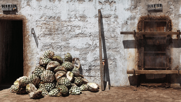 Tequila boosts US spirits sales in 2021