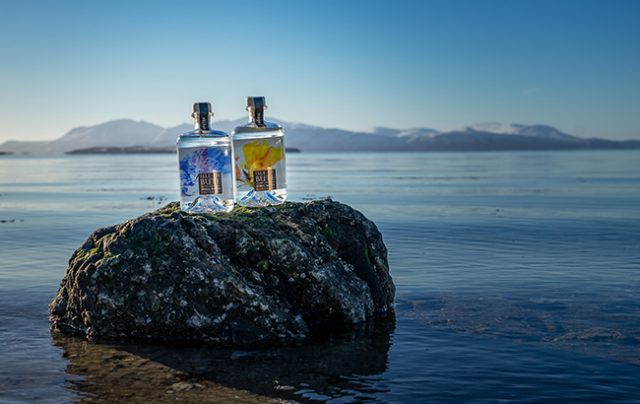 Isle of Bute Gin 