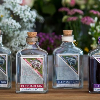 Elephant Gin