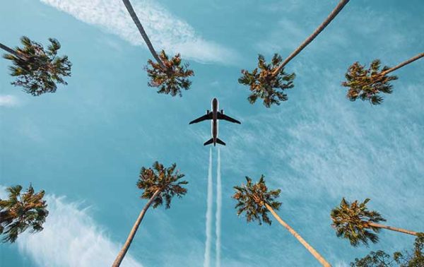 IAADFS to host webinar on Gen Z habits