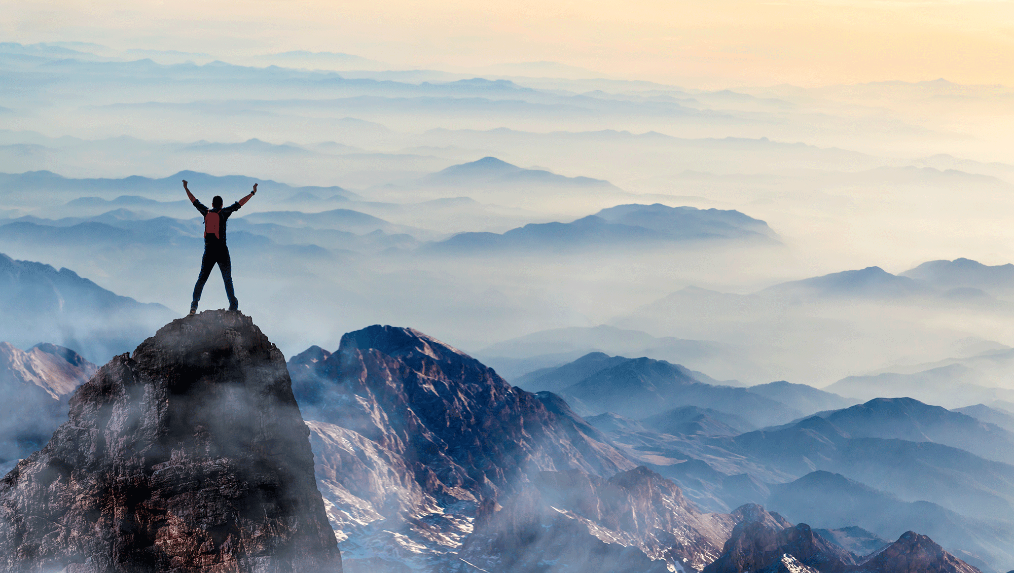 SB's bestperforming spirits companies of 2021 The Spirits Business