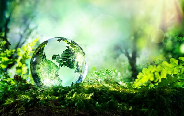 Sustainability ‘key’ to consumers’ buying decisions