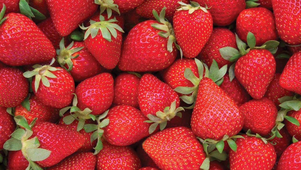 Does the flavoured gin trend have staying power?