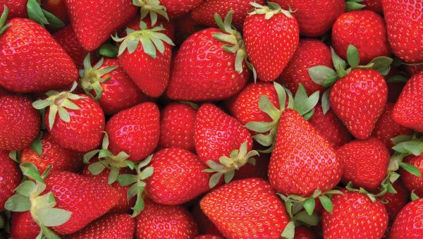 Does the flavoured gin trend have staying power?