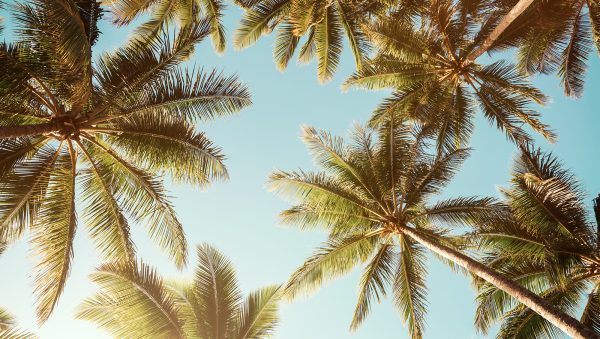 The Rum & Cachaça Masters 2022 results