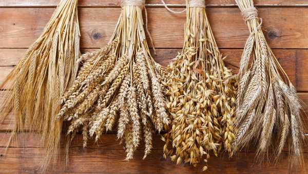 Raw materials: the building blocks of sustainable spirits