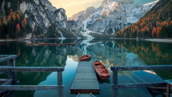 European distillers: driving whisky innovation