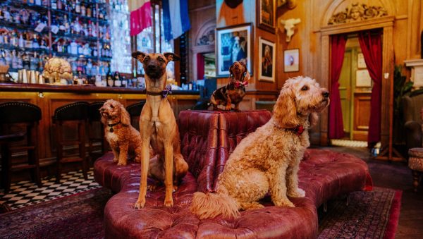 April Fool’s Day: best and worst spirits pranks