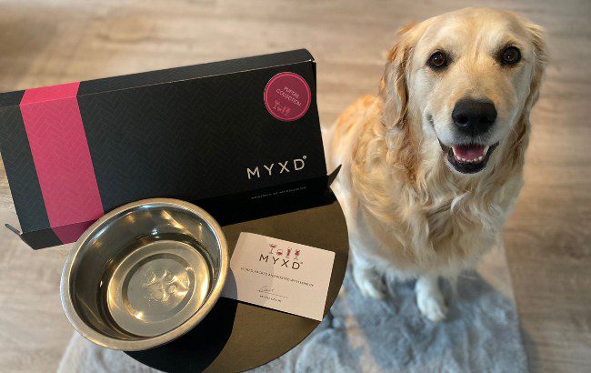 Myxd Pet Cocktails